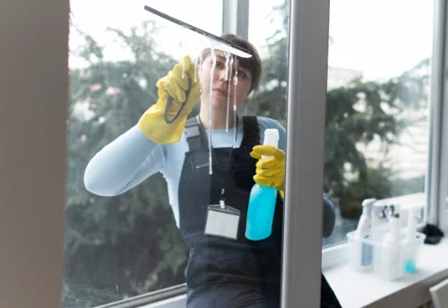 Nettoyage de vitres intérieures et extérieures à Meslay-du-Maine
